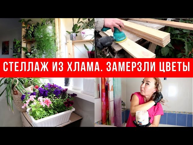 DIY стеллаж своими руками за 300 рублей. Все цветы замерзли
