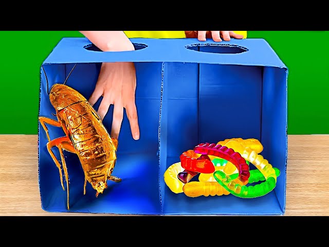 Челлендж Загадочная коробка! Популярные челленджи, игры и эксперименты из TikTok